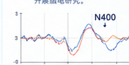 EEG / ERP 脑电成分（N400）研究