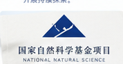 国家自然科学基金项目